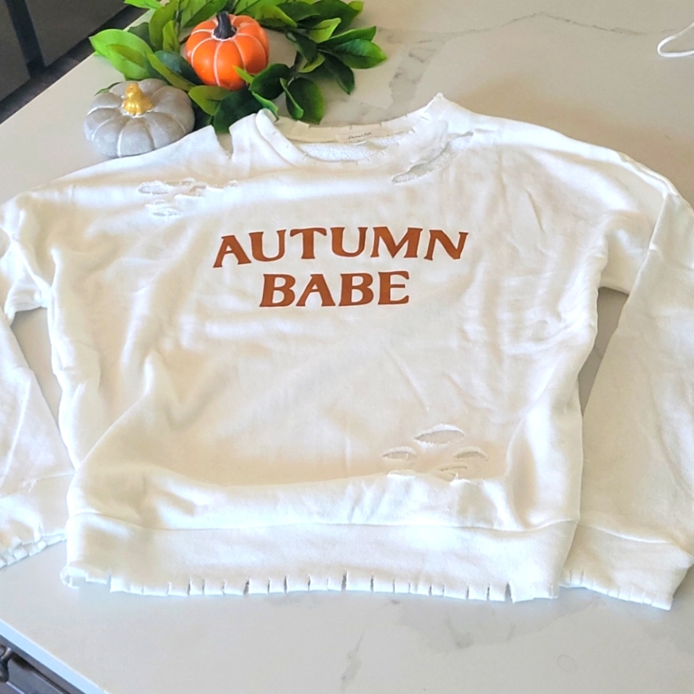 Autumn Babe Distressed Crop Fall Sweater